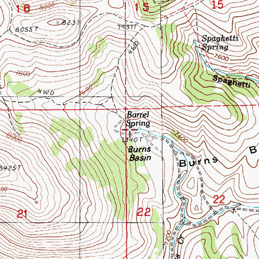 Topographic Map of Barrel Spring, NV