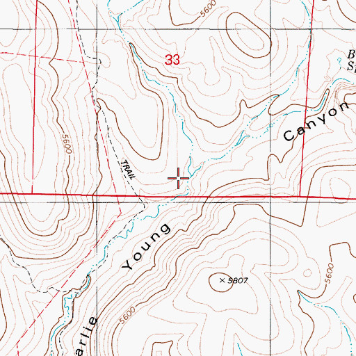 Topographic Map of West Charlie Young Canyon, NV