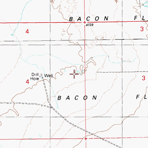Topographic Map of Bacon Springs, NV