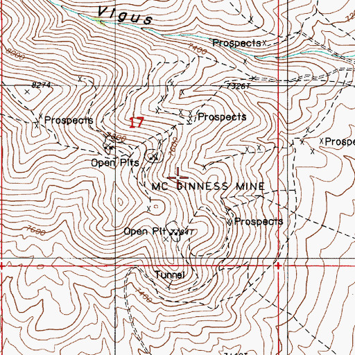 Topographic Map of McGinness Mine, NV