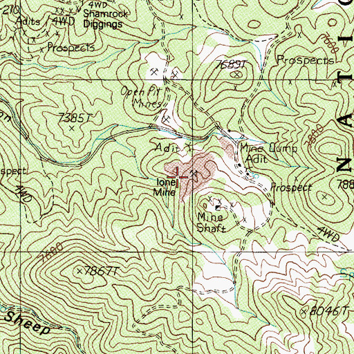 Topographic Map of Ione Mine, NV