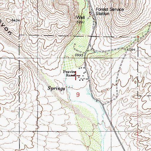 Topographic Map of Peavine Ranch, NV