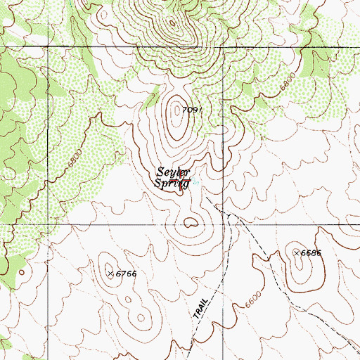 Topographic Map of Seyler Spring, NV