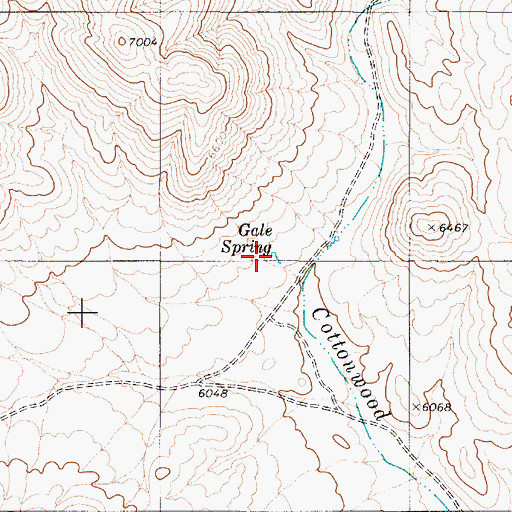 Topographic Map of Gale Spring, NV