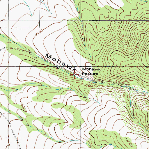 Topographic Map of Mohawk Pasture, NV