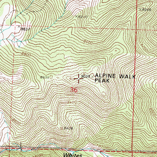 Topographic Map of Alpine Walk Peak, NV