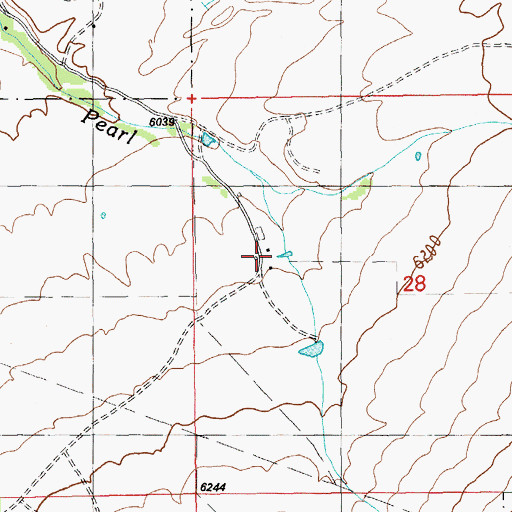 Topographic Map of Magnuson Ranch, NV