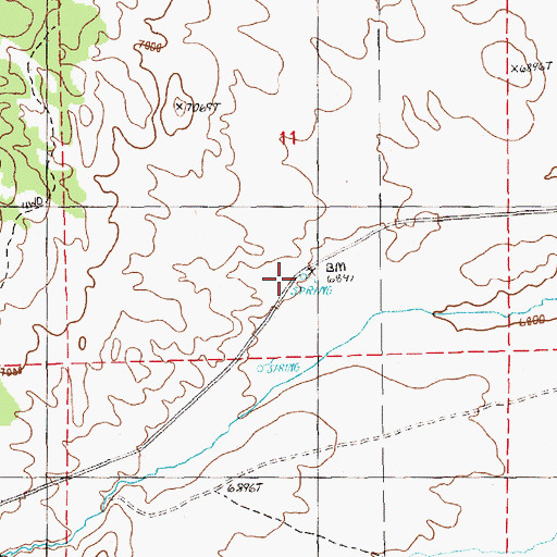 Topographic Map of Halstead Spring, NV