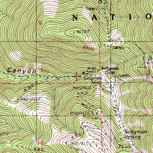 Topographic Map of Seligman (historical), NV