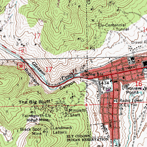 Topographic Map of Ely Junction, NV