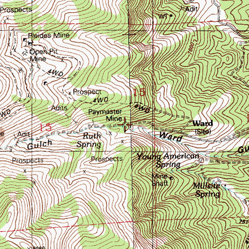 Topographic Map of Ward Mine, NV