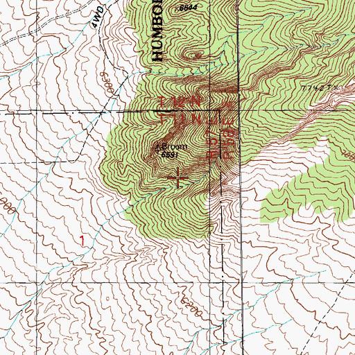 Topographic Map of Blue Spring, NV