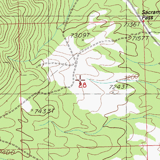 Topographic Map of Sacramento Springs, NV