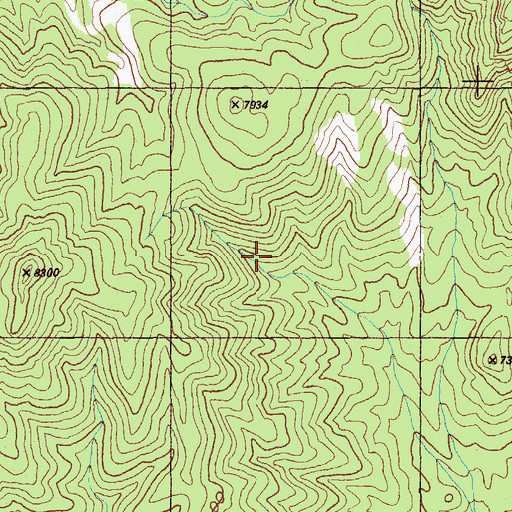 Topographic Map of Mud Spring, NV