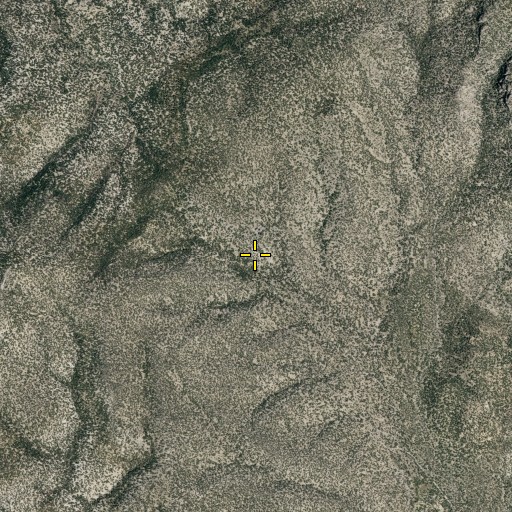 Aerial/Satellite Image of Mud Spring, NV