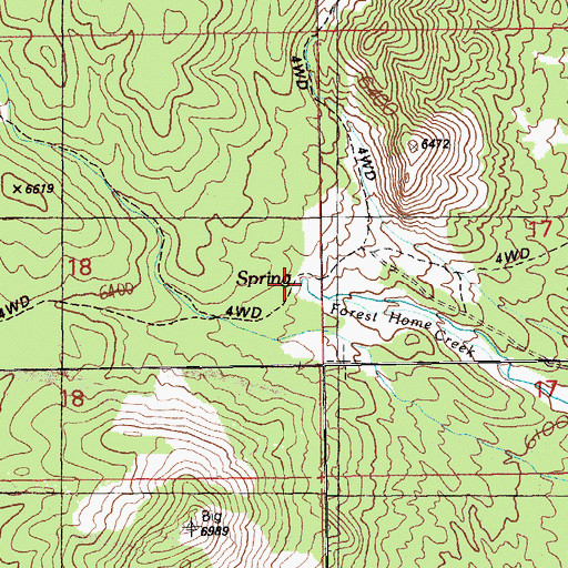 Topographic Map of Forest Home Spring, NV