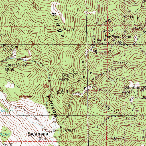 Topographic Map of Swansea (historical), NV