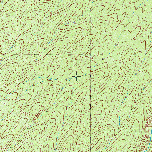 Topographic Map of Two Spring, NV