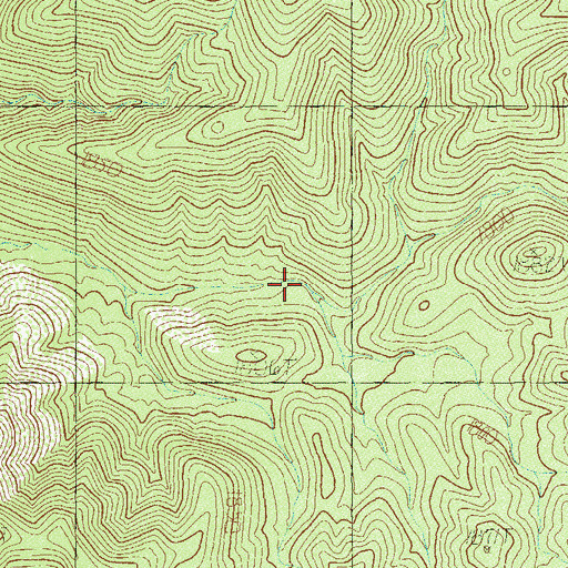 Topographic Map of Wild Rose Spring, NV