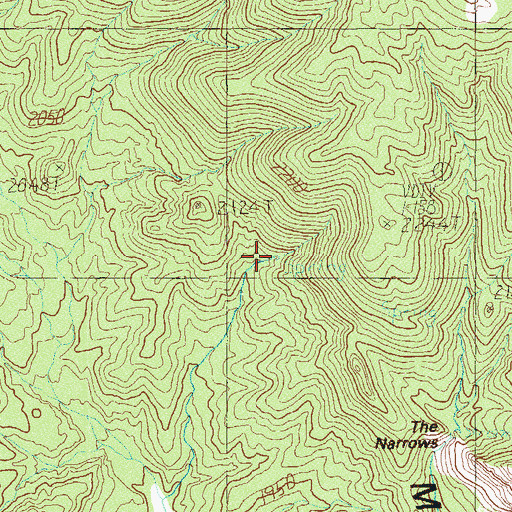 Topographic Map of Center Springs, NV