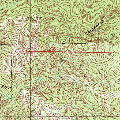 Topographic Map of Lees Spring, NV