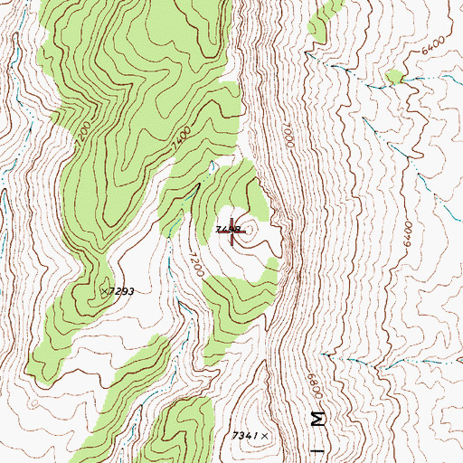 Topographic Map of Bracket Peak, NV