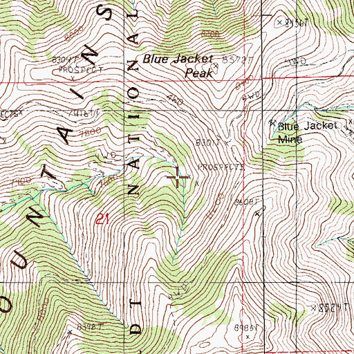 Topographic Map of White Rock Mine, NV