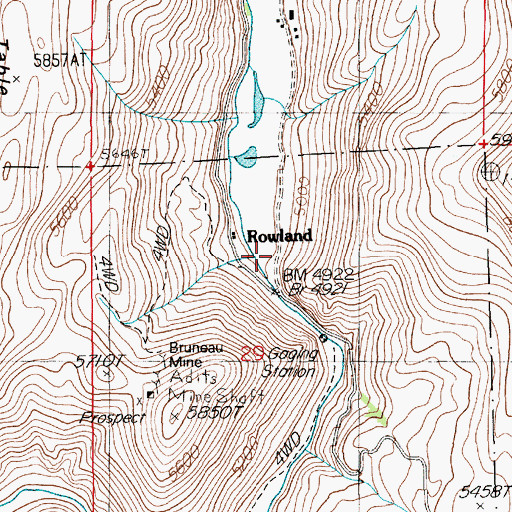 Topographic Map of Bryan District, NV