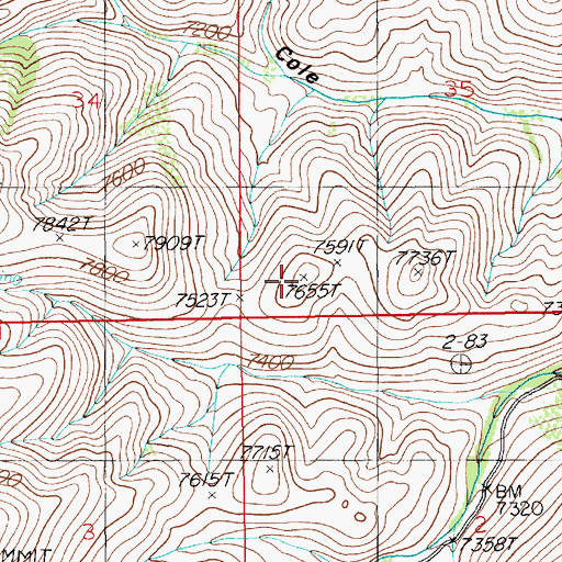 Topographic Map of Big Springs Mine, NV