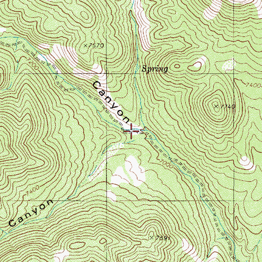 Topographic Map of Peavine Canyon Trailhead, NV