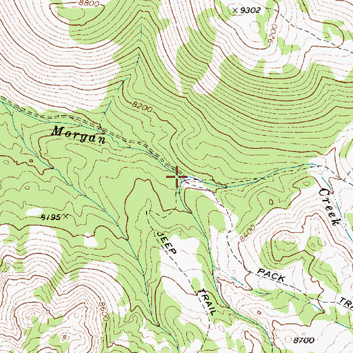 Topographic Map of Morgan Basin Trailhead, NV