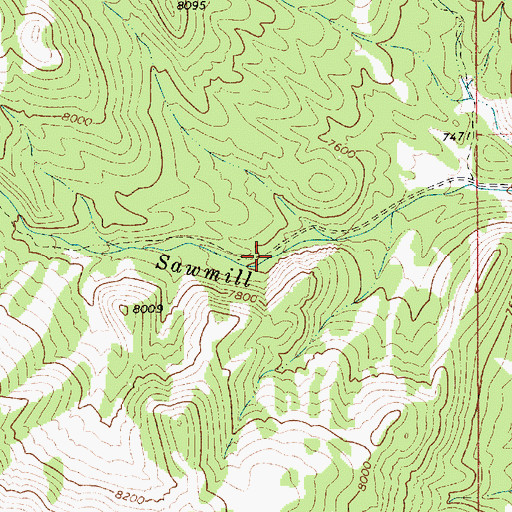 Topographic Map of Sawmill Creek Trailhead, NV