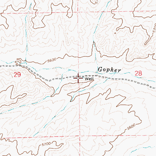 Topographic Map of Gopher Creek Well, NV