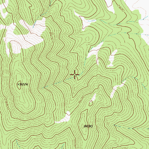 Topographic Map of Sawmill Spring, NV