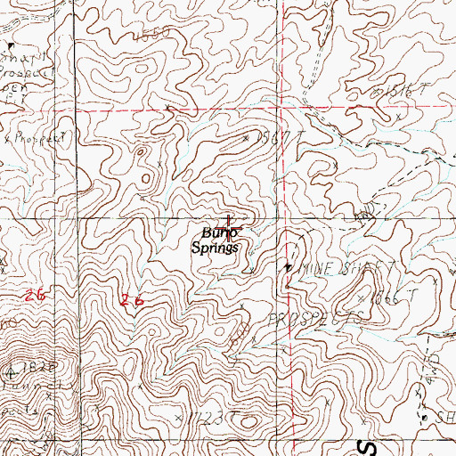 Topographic Map of Burro Springs, NV