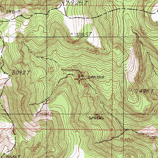 Topographic Map of Upper Lower Jordan Valley Spring, NV