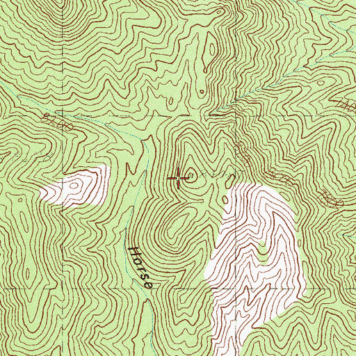 Topographic Map of Negrohead Peak, NV