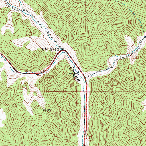 Topographic Map of Carroll Station, NV