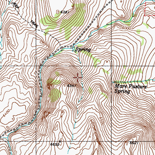 Topographic Map of Lower Meadow, NV