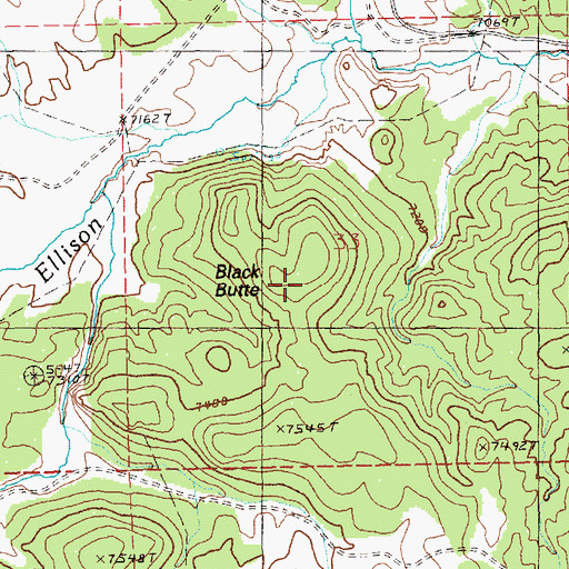Topographic Map of Black Butte, NV