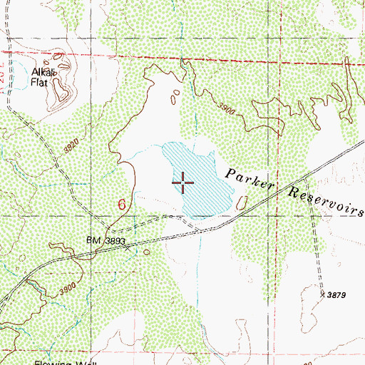 Topographic Map of Dewey Parker Reservoir, NV