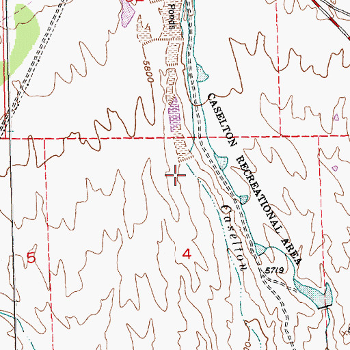 Topographic Map of Caselton Pond Number 9 Dam, NV