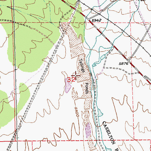 Topographic Map of Caselton Pond Number 4 Dam, NV
