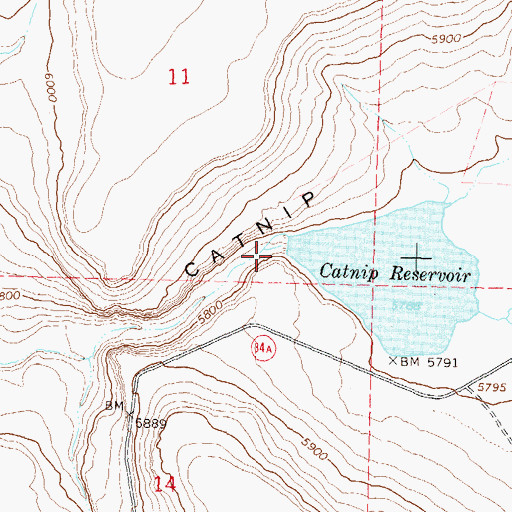 Topographic Map of Catnip Dam, NV