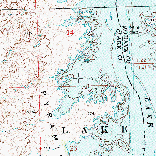 Topographic Map of Newberry Cove, NV