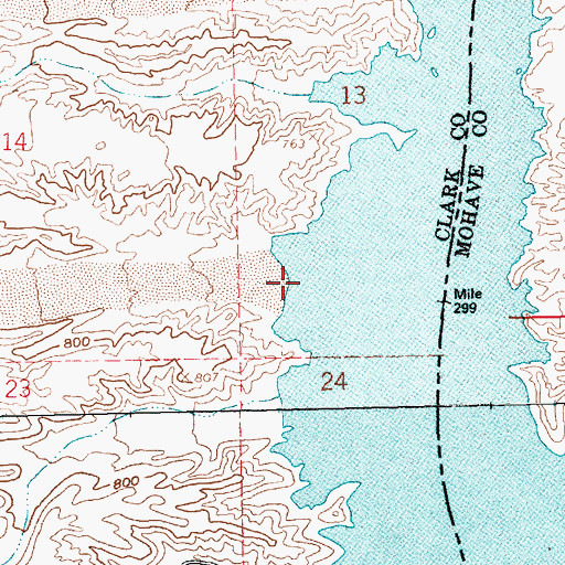 Topographic Map of Bass Cove, NV