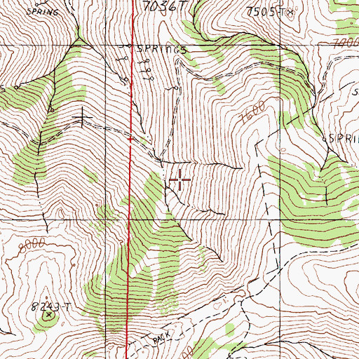 Topographic Map of Pine Forest Mining District, NV