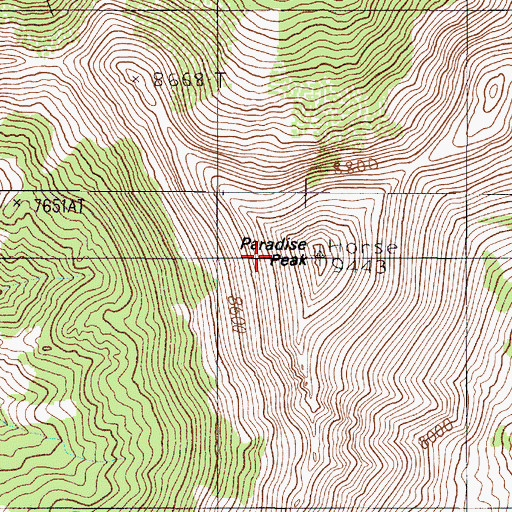 Topographic Map of Paradise Peak, NV