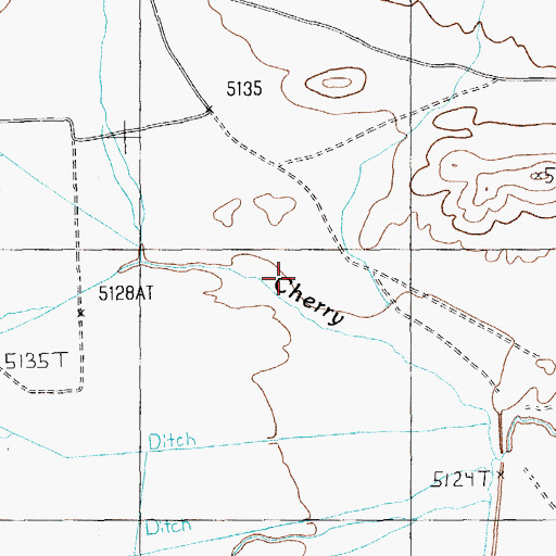 Topographic Map of Cherry Creek, NV