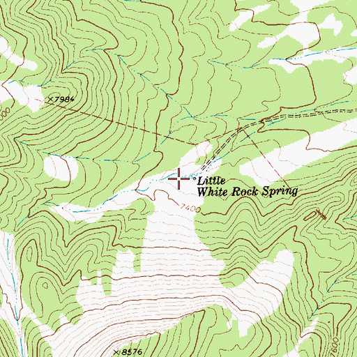 Topographic Map of Little White Rock Spring, NV